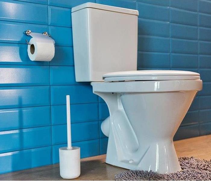 Conventional toilet fixture